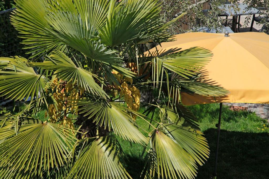 Hotel Jardis (Adults Only) Lana Ngoại thất bức ảnh